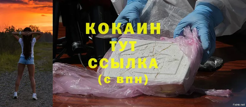 Cocaine Боливия Губкин